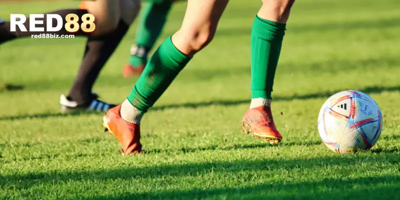 Kèo Cược Half Time/Full Time Là Gì? Bí Quyết Chơi Hiệu Quả 2 Tỷ lệ kèo half time/full time