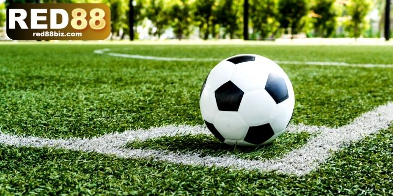 4 kiểu cược kèo thẻ phạt phổ biến được ưa chuộng