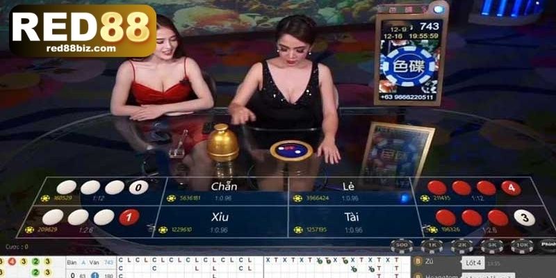 Mẹo Chơi Xóc Đĩa - Tổng Hợp 4 Bí Quyết Bất Bại Từ Cao Thủ 2 4 mẹo cược xóc đĩa bất bại